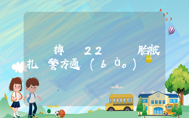 貨車掉圖釘22輛車輪胎被扎 警方通報(bào)插圖